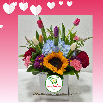  Tulipanes de Luna